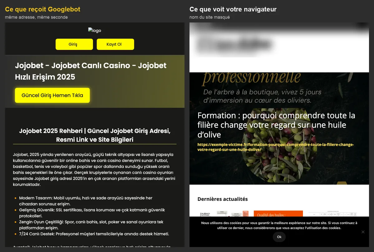 Cloaking : ce que reçoit Googlebot et ce que voit le navigateur, même adresse