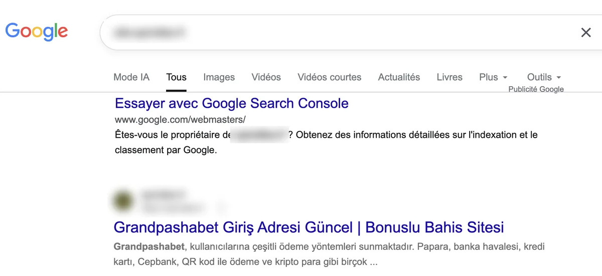 Recherche site: sur le site d'un restaurant : une seule page indexée, titrée en turc pour un site de paris